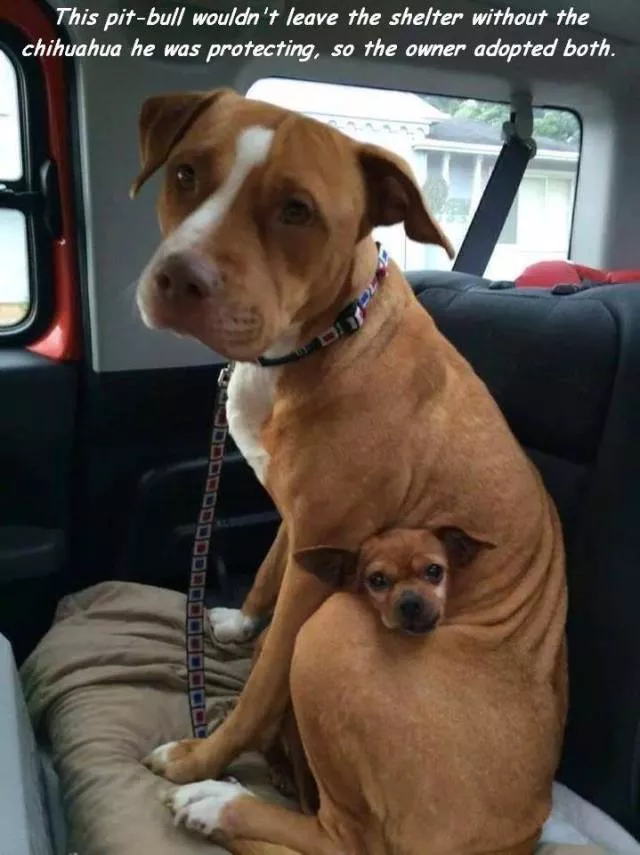 Picdump 255 - #38 