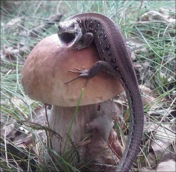 Picdump 255 - #78 