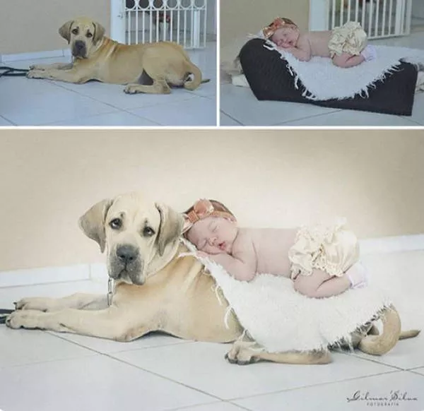 Astuces comment prendre des photos professionnelles - #24 