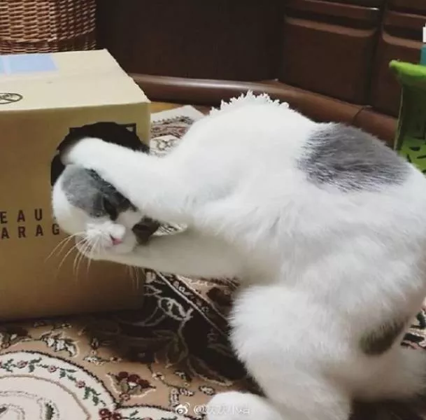 The perfect timing pictures - #1 