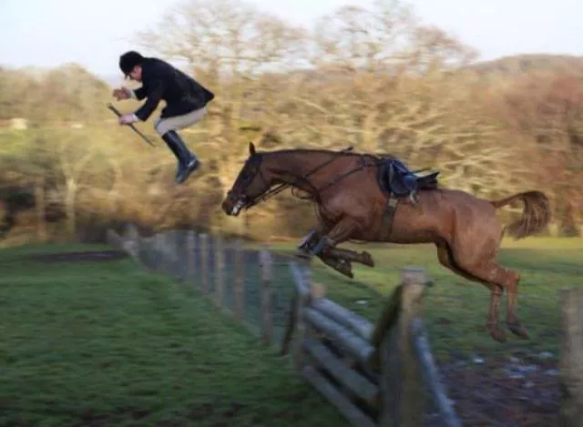 Les photos de timing parfait - #29 