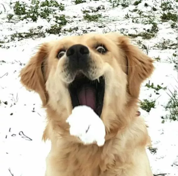 Les photos de timing parfait - #30 