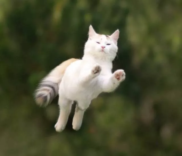 The perfect timing pictures - #31 