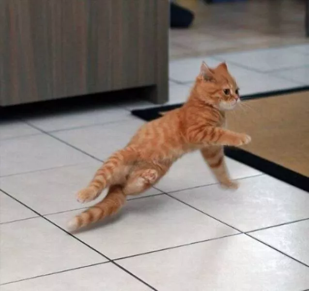 Les photos de timing parfait - #37 