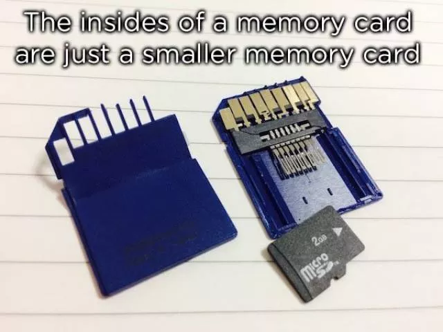 Visit the inside of everyday objects - #10 