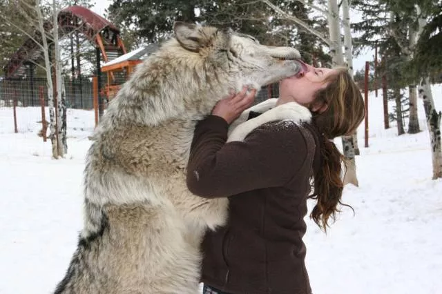 An impressive collection of photos to start your week - #12 
