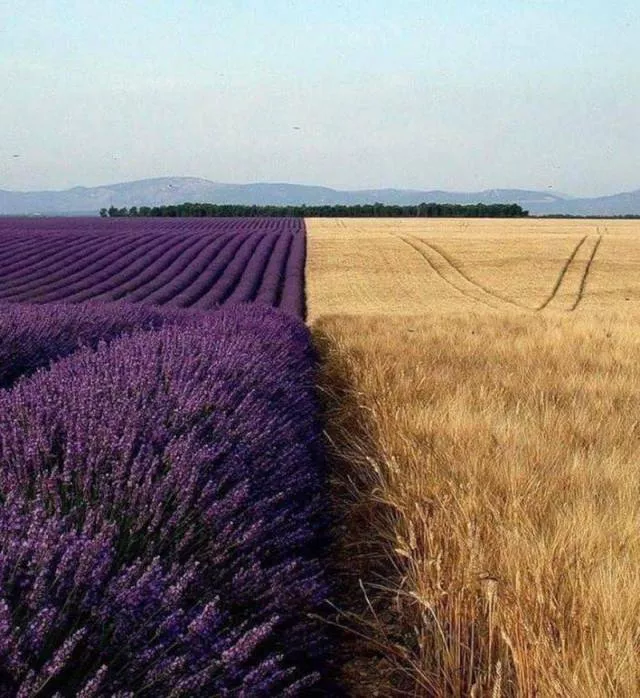 An impressive collection of photos to start your week - #17 