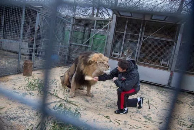 An impressive collection of photos to start your week - #2 