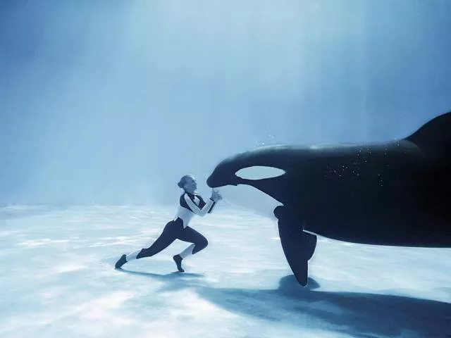 Une collection de photos impressionnantes pour bien demarrer votre semaine - #22 