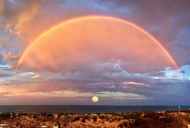 An impressive collection of photos to start your week - #3 