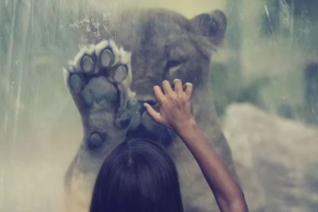 Une collection de photos impressionnantes pour bien demarrer votre semaine - #30 