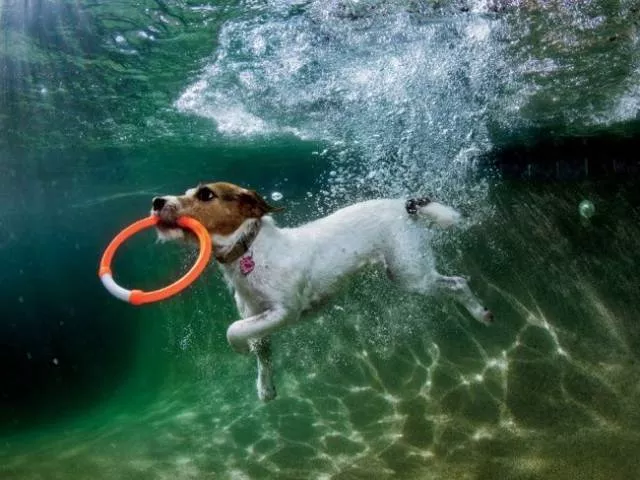 Une collection de photos impressionnantes pour bien demarrer votre semaine - #33 
