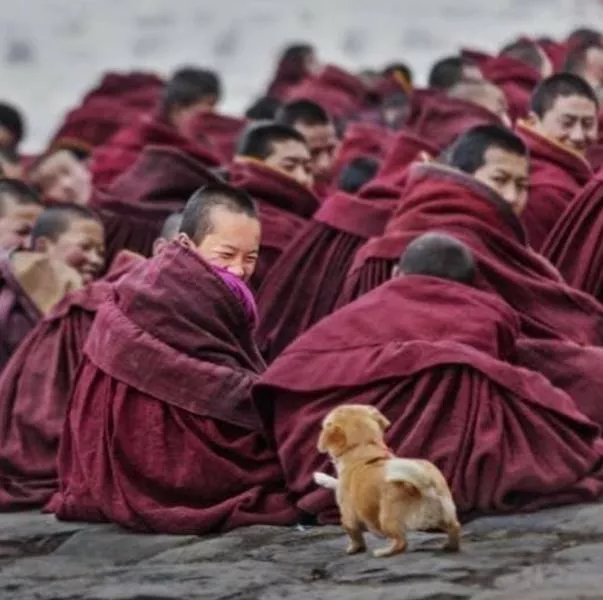 Une collection de photos impressionnantes pour bien demarrer votre semaine - #34 