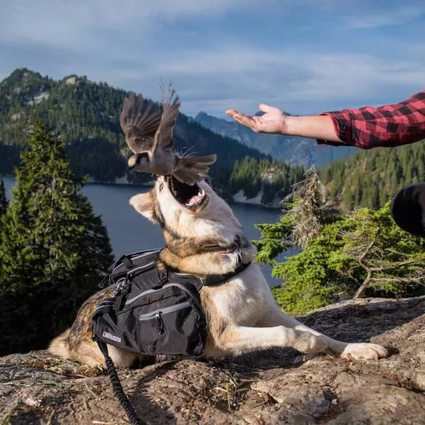 Une collection de photos impressionnantes pour bien demarrer votre semaine - #36 
