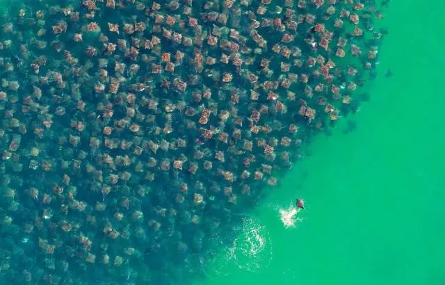 Une collection de photos impressionnantes pour bien demarrer votre semaine - #37 