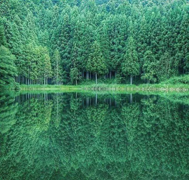 An impressive collection of photos to start your week - #4 