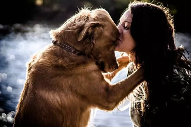 An impressive collection of photos to start your week - #5 