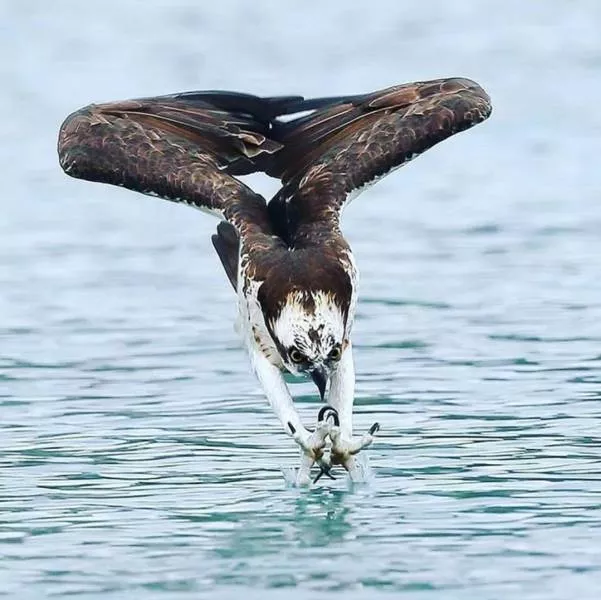 An impressive collection of photos to start your week - #7 