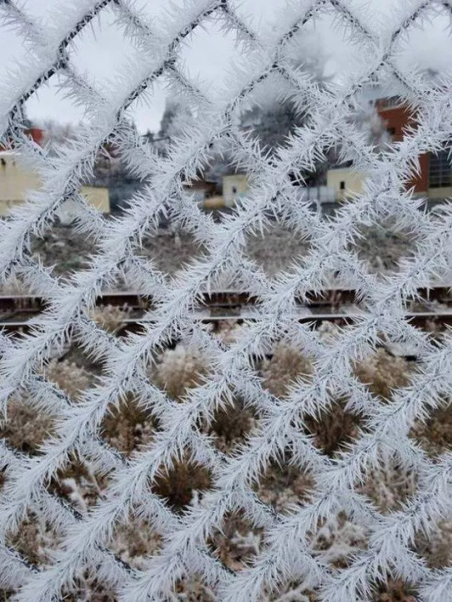 An impressive collection of photos to start your week - #8 
