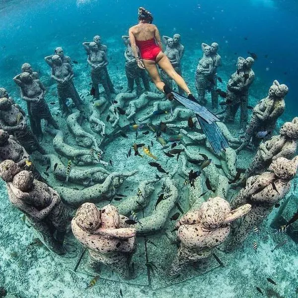 An impressive collection of photos to start your week - #9 