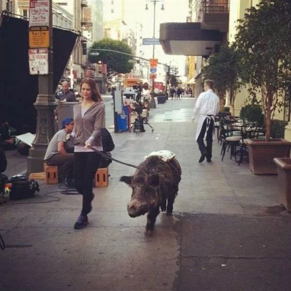 Picdump 256 - #13 