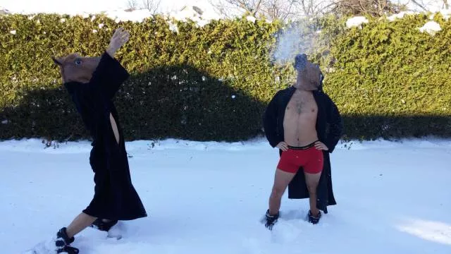 Picdump 256 - #21 