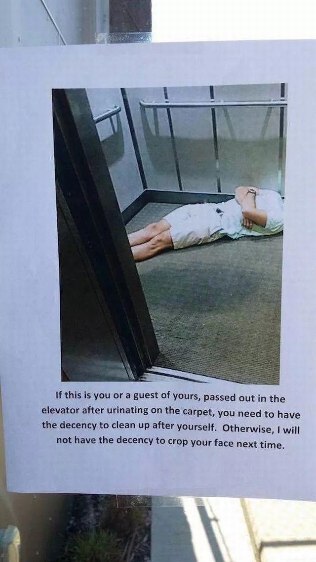 Picdump 256 - #4 