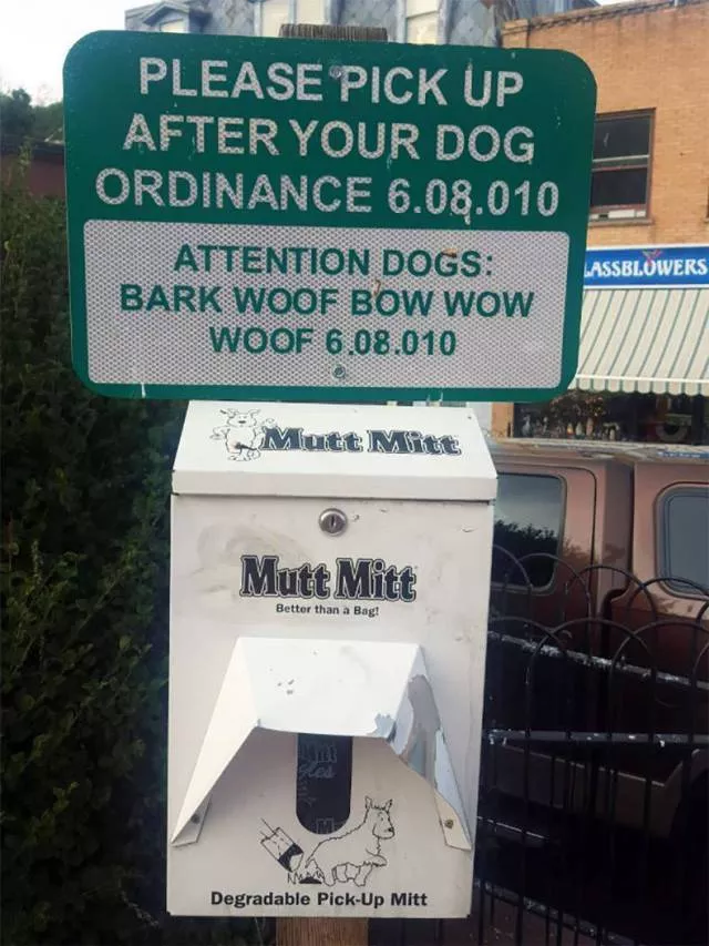 Picdump 256 - #57 