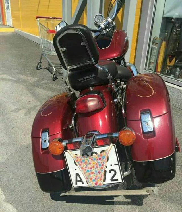 Picdump 256 - #59 