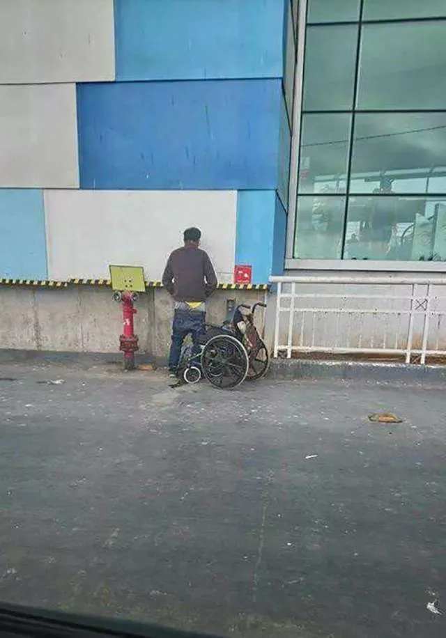 Picdump 256 - #65 