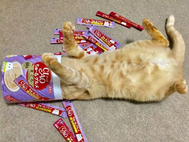 Picdump 256 - #86 