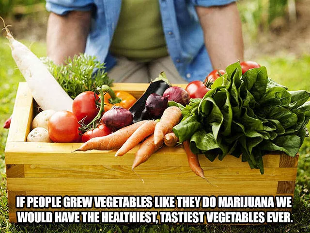 The funniest facts revealed online - #34 