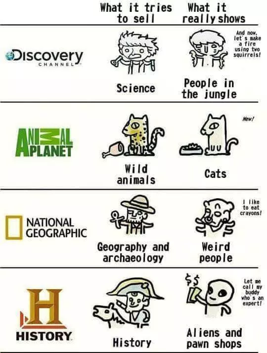The funniest facts revealed online - #35 