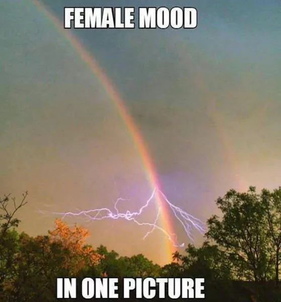 The funniest facts revealed online - #40 