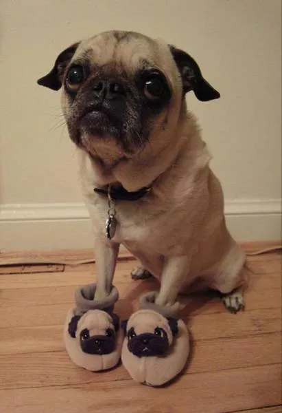 Picdump 257 - #17 