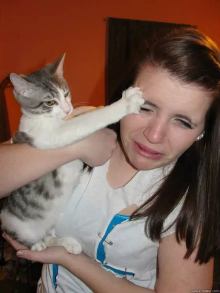 Picdump 257