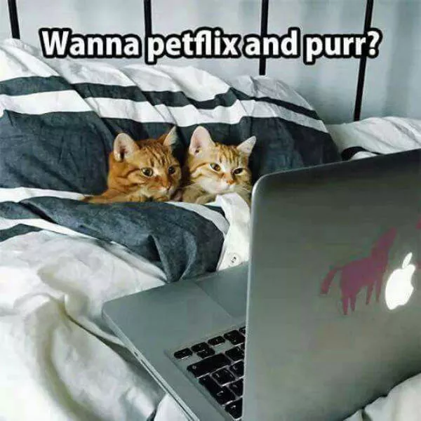 Picdump 50 - #10 