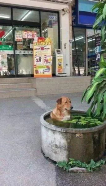 Picdump 50 - #31 