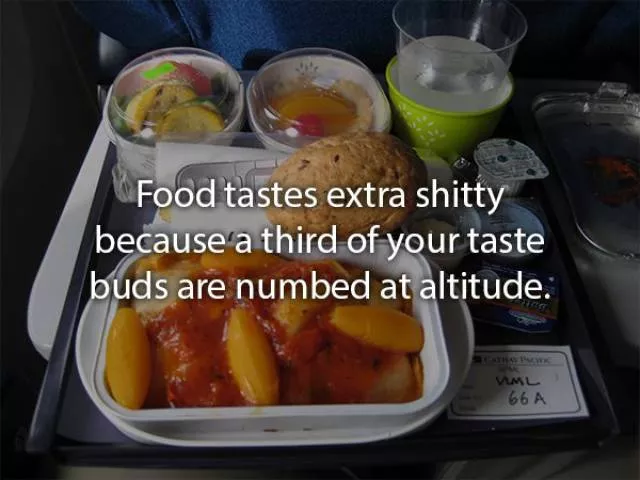 Faits meconnus sur les voyages en avion