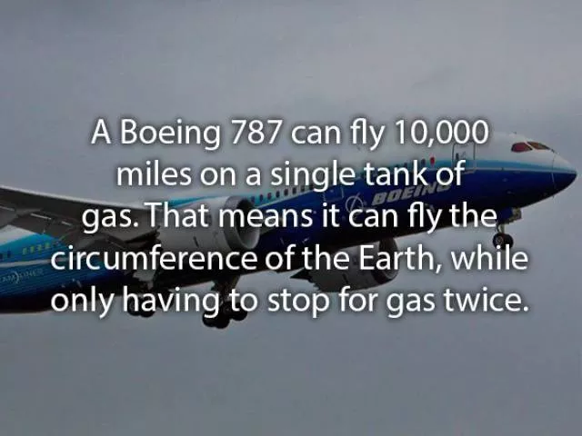 Little known facts about flying - #5 