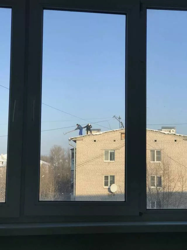 Picdump 258 - #11 