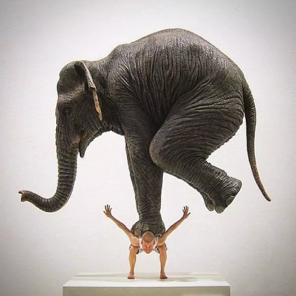 Sculptures artistiques dune rare complexite