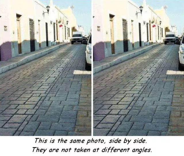 Picdump 259 - #2 