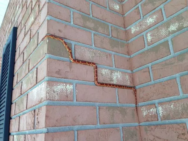 Picdump 259 - #37 