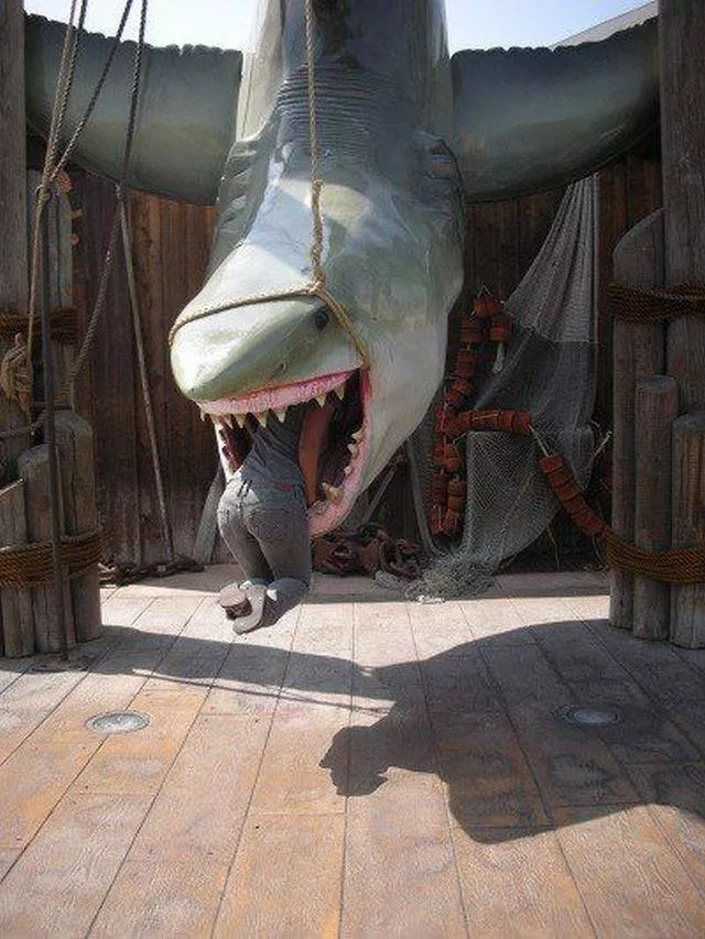 Picdump 259 - #42 