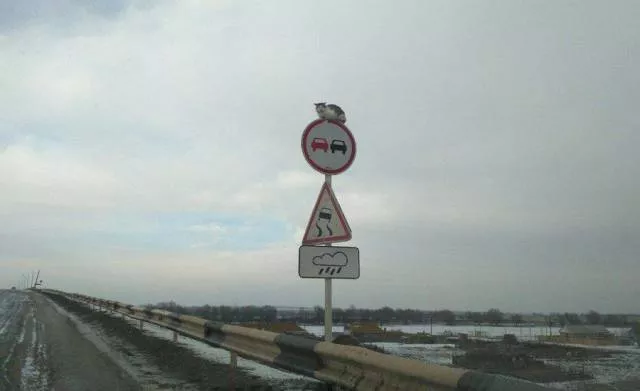 Picdump 259 - #71 