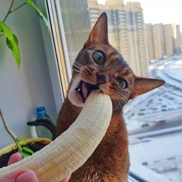 Picdump 259 - #81 