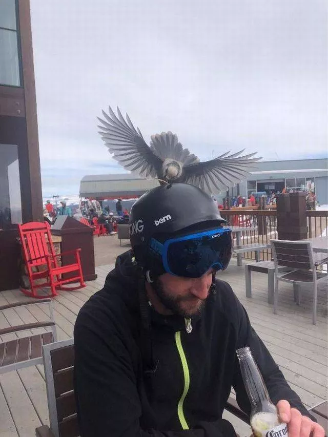 Picdump 259 - #94 