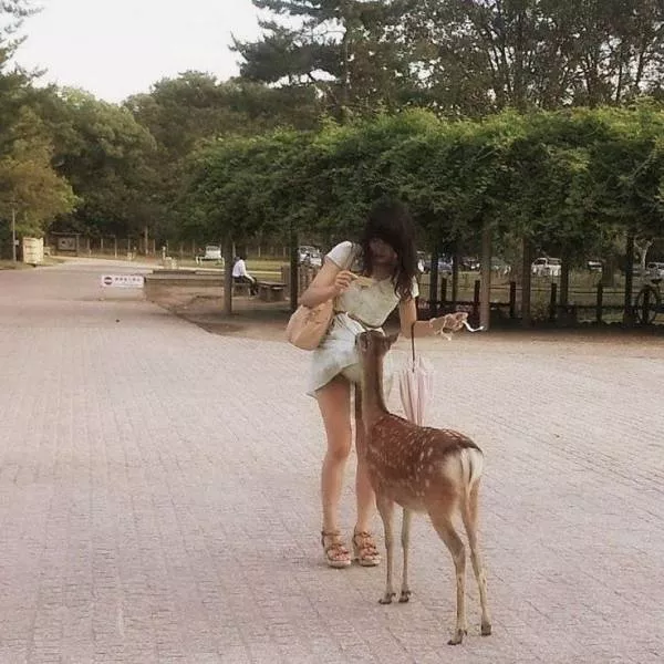 Picdump 260 - #15 