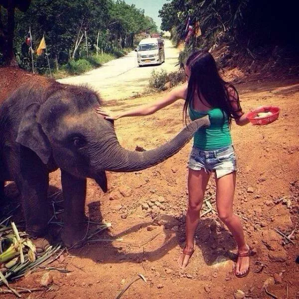 Picdump 260